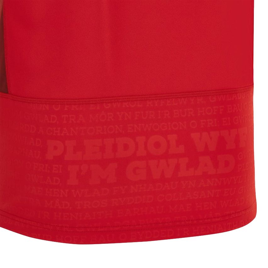 Maglia da Rugby Casa Galles Coppa del Mondo 2023 – Macron