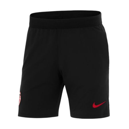 Pantaloncini da Allenamento Rugby Uomo Stade Toulousain 2025/2026 - Nike