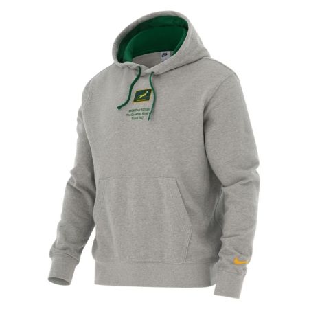 Felpa cappuccio Nike Springboks grigio melange dettagli Gorge Green vista frontale