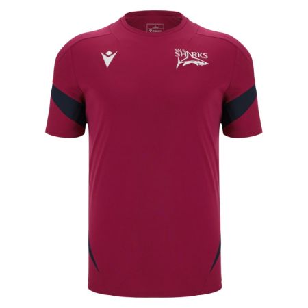 Maglia Allenamento Sale Sharks 2025/2026 - Macron
