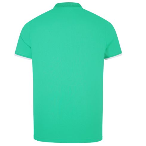 Polo Rugby Irlanda Maniche Corte Verde - Canterbury